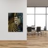 The Zebra Gallery Wrap