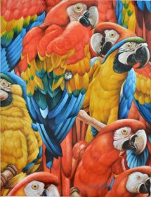 Red and Blue Macaw Gallery Wrap