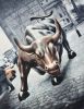 Charging Bull