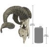 CORSICAN RAM SKULL AND HORNS PLAQUE