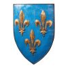 FLEUR DE LIS SHIELD PLAQUE