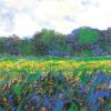 41X22.5 IRIS FIELD AT GIVERNY 1887