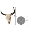 LONG HORN STEER WALL TROPHY