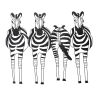 STATIC STRIPES ZEBRA FRIEZE